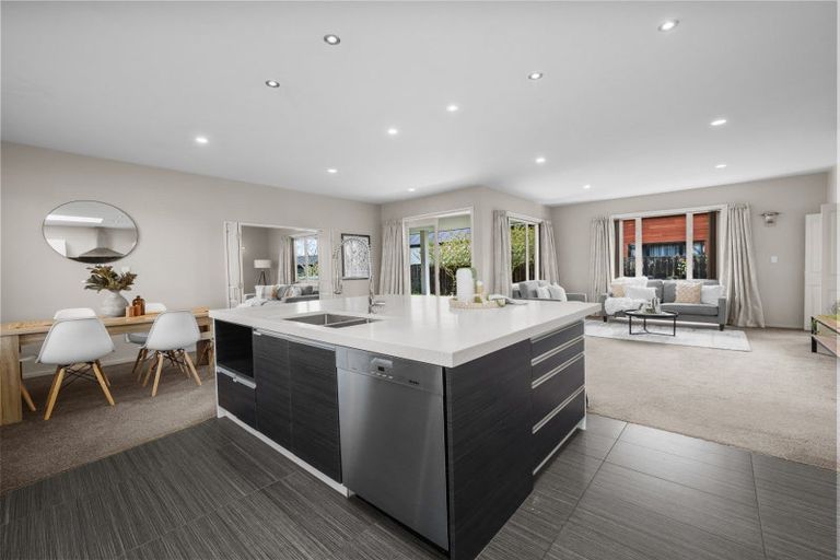 Photo of property in 19 Ludlow Drive, Huntingdon, Ashburton, 7774