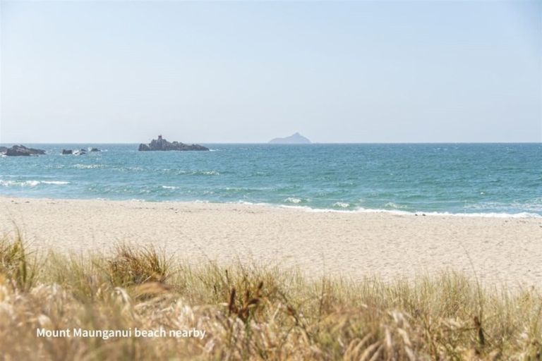 Photo of property in 6a Carysfort Street, Mount Maunganui, 3116