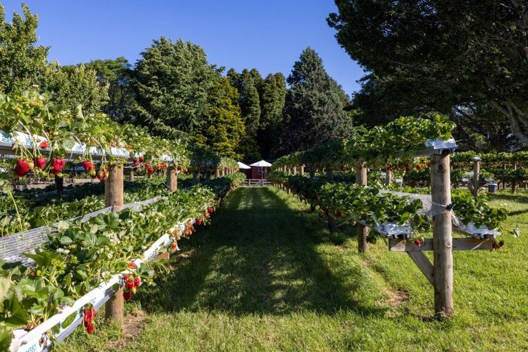 Photo of property in 529b Te Puke Highway, Te Puke, 3187