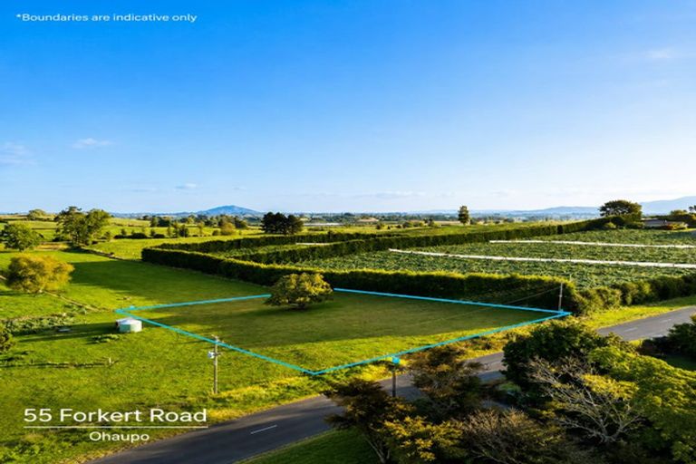 Photo of property in 55 Forkert Road, Ohaupo, 3803