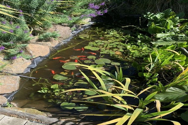 Photo of property in 5518 Christchurch Akaroa Road, French Farm, 7582