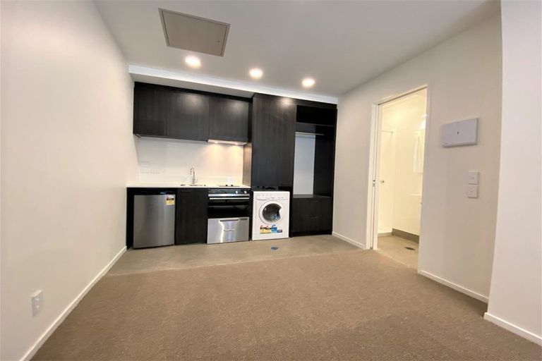 Photo of property in Aniva Terrace, 21 Arney Street, Newtown, Wellington, 6021