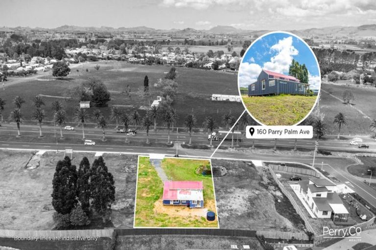 Photo of property in 164 Parry Palm Avenue, Waihi, 3610