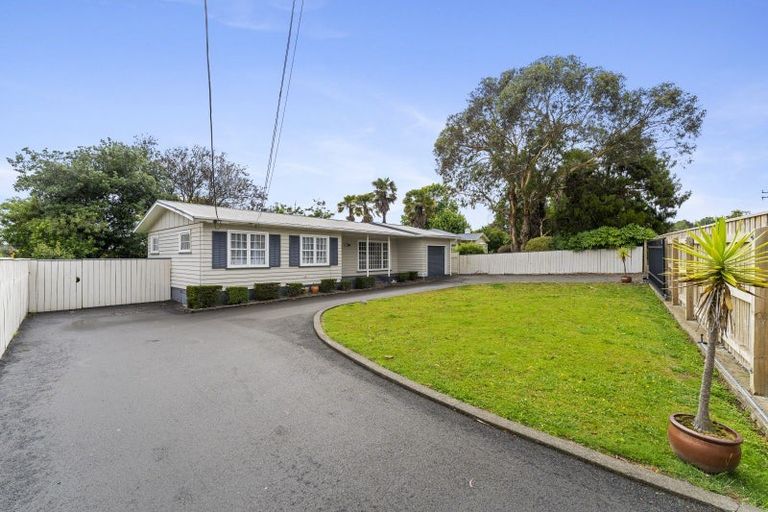 Photo of property in 39 Macarthur Street, Levin, 5510