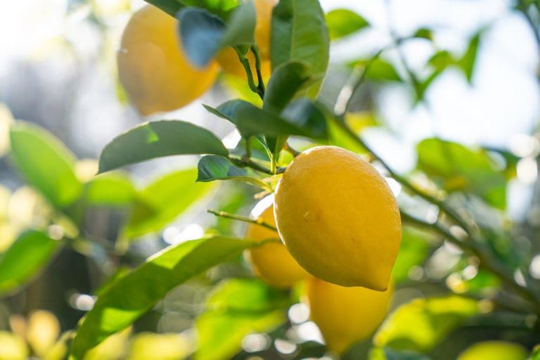 Photo of property in 167 Totara Road, Miramar, Wellington, 6022