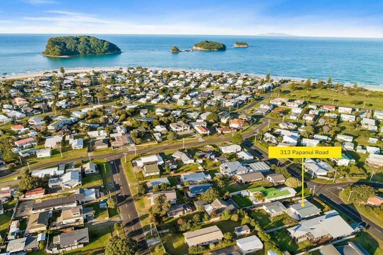Photo of property in 313 Papanui Road, Whangamata, 3620