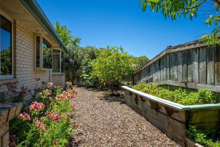 Photo of property in 66 Cambria Street, The Wood, Nelson, 7010