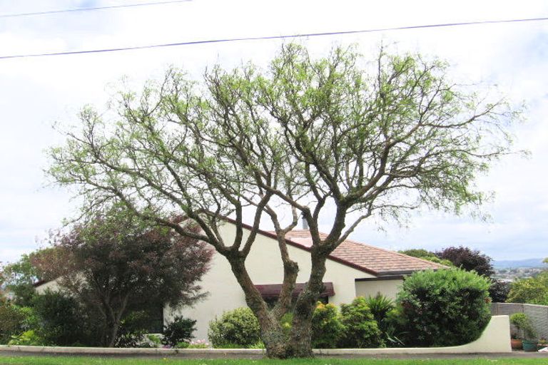 Photo of property in 3a Routly Avenue, Pukekohe, 2120