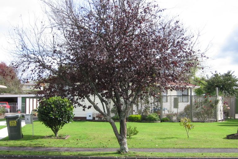 Photo of property in 6 Northfield Place, Tokoroa, 3420