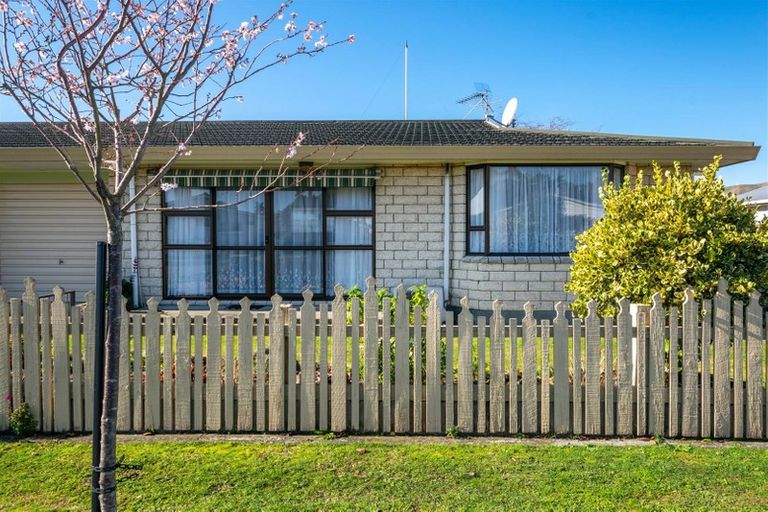 Photo of property in 147a Howick Road, Witherlea, Blenheim, 7201