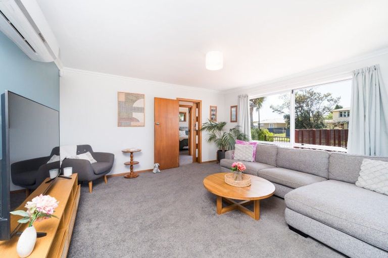 Photo of property in 51 Highbury Avenue, Highbury, Palmerston North, 4412