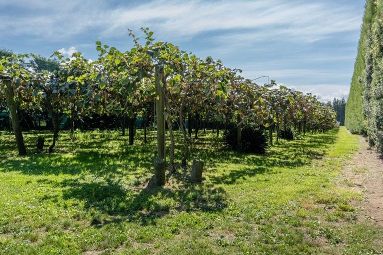 Photo of property in 359 Matahui Road, Aongatete, Katikati, 3181