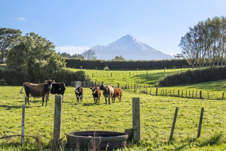 Photo of property in 241 Warwick Road, Stratford, 4391