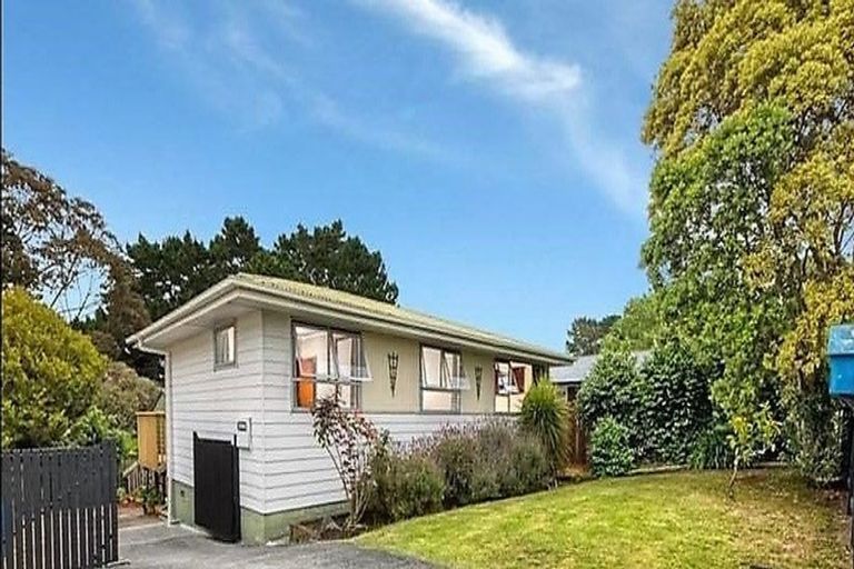Photo of property in 47 Hartley Terrace, Massey, Auckland, 0614
