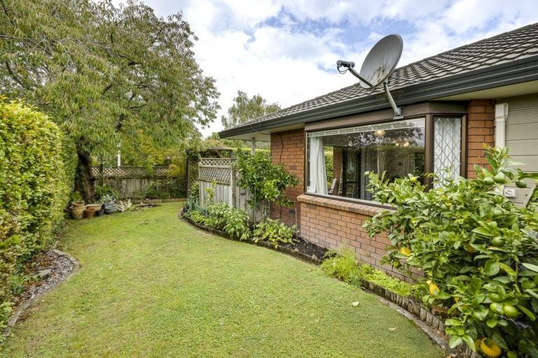 Photo of property in 706a York Street, Mahora, Hastings, 4120