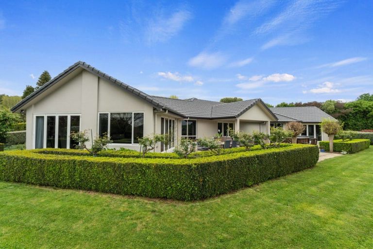 Photo of property in 18 Molly Lane, Te Awamutu, 3879