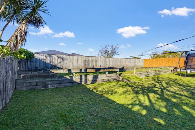Photo of property in 81 Guy Avenue, Takaro, Palmerston North, 4410