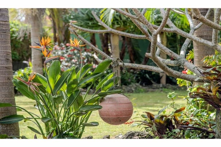 Photo of property in 38 Cobham Road, Kerikeri, 0230