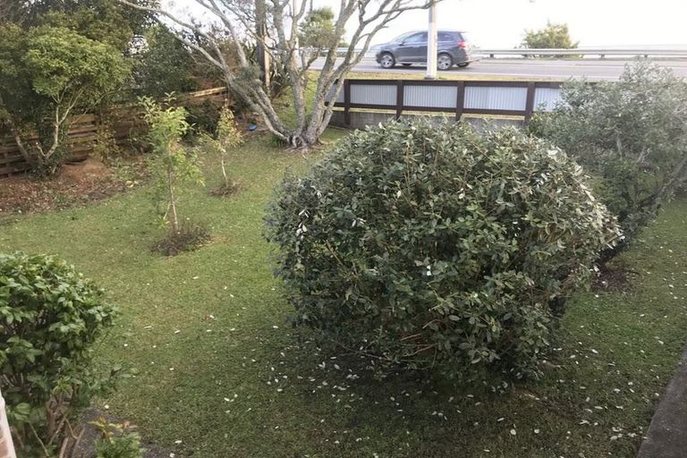 Photo of property in 290 Rodney Street, Wellsford, 0900