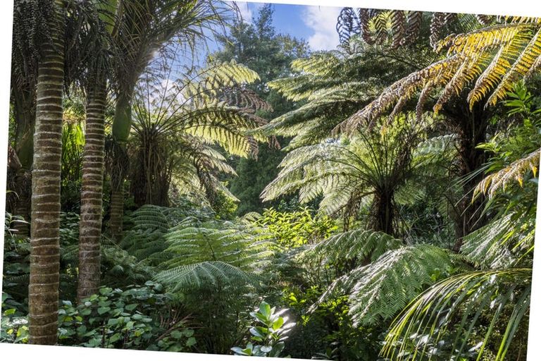 Photo of property in 116a Pah Road, Cockle Bay, Auckland, 2014