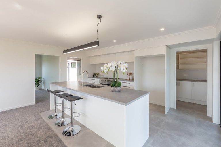 Photo of property in 100 Jean Archie Drive, Rolleston, 7614