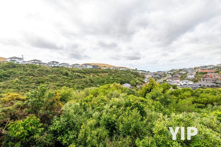 Photo of property in 29 Bathgate Street, Johnsonville, Wellington, 6037