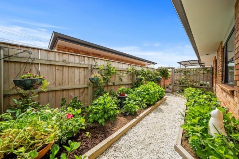 Photo of property in 2/241 Omata Road, Spotswood, New Plymouth, 4310