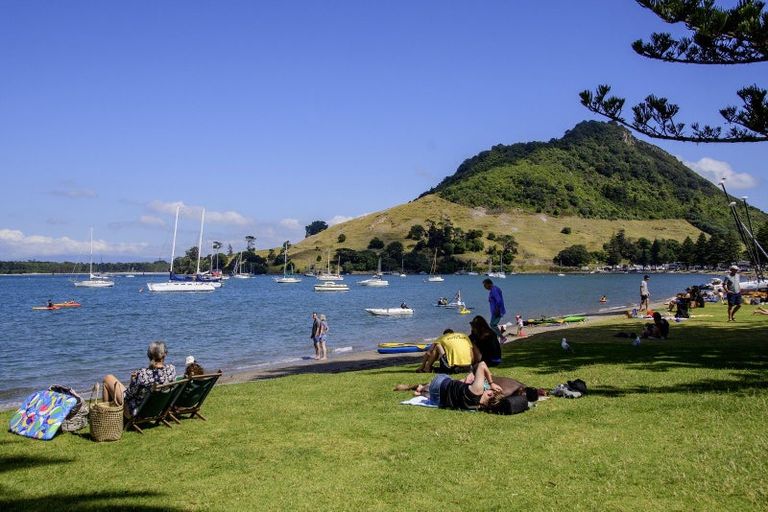 Photo of property in 314 Maunganui Road, Mount Maunganui, 3116