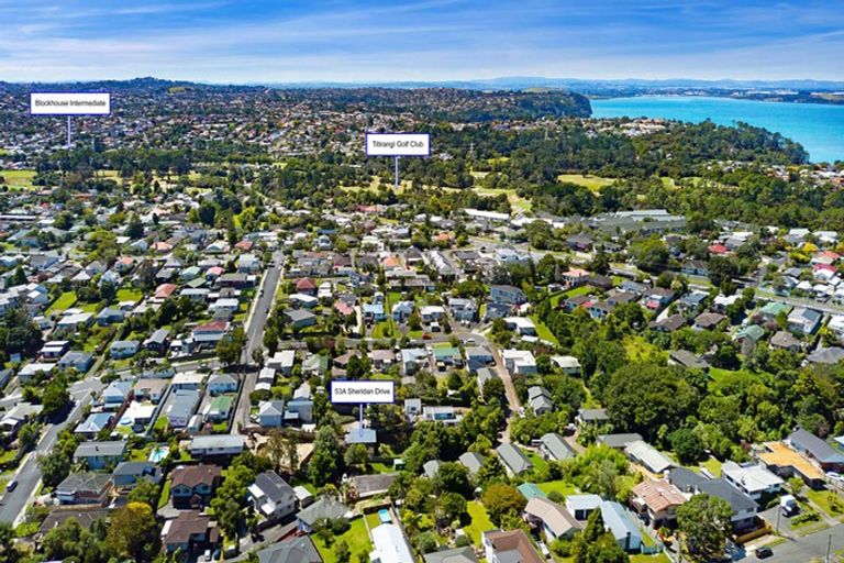 Photo of property in 53a Sheridan Drive, New Lynn, Auckland, 0600