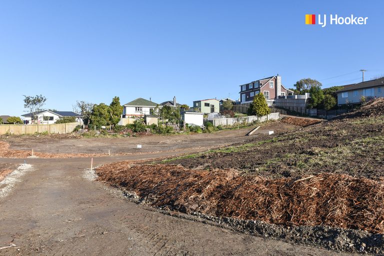 Photo of property in 155 Tomahawk Road, Andersons Bay, Dunedin, 9013