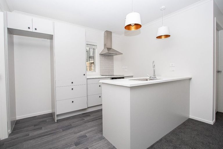 Photo of property in 18u4 Rothwell Street, Dinsdale, Hamilton, 3204