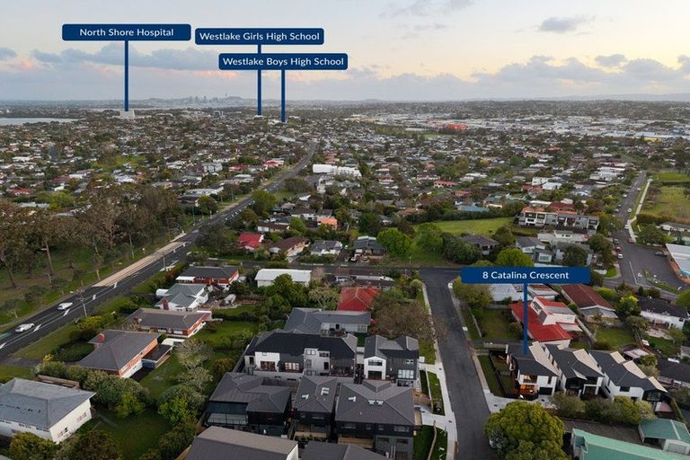 Photo of property in 8a Catalina Crescent, Forrest Hill, Auckland, 0620