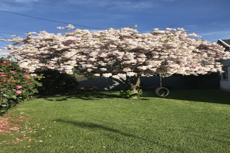 Photo of property in 17 Coleridge Street, Rolleston, 7614