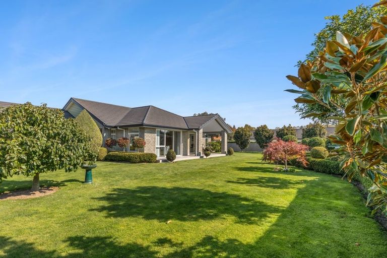 Photo of property in 11 Richardson Road, Matamata, 3400