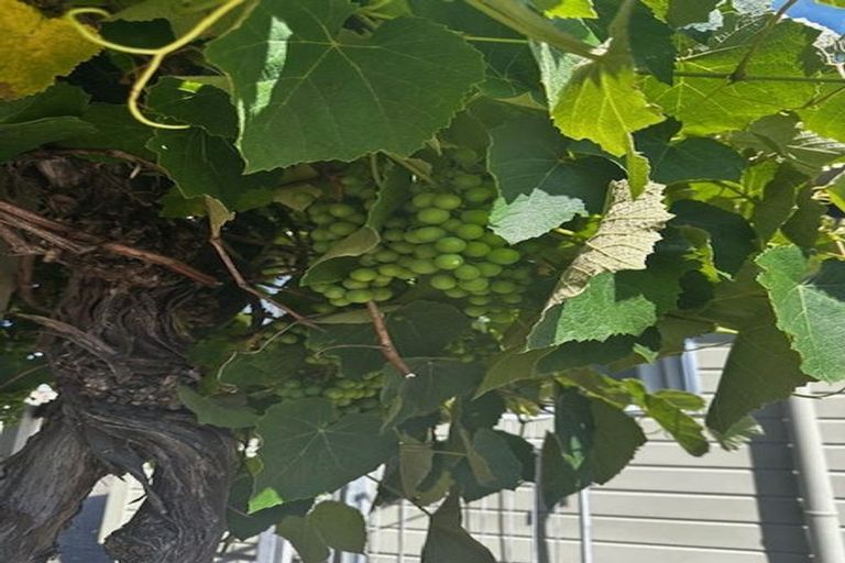 Photo of property in 53 West Street, Greytown, 5712