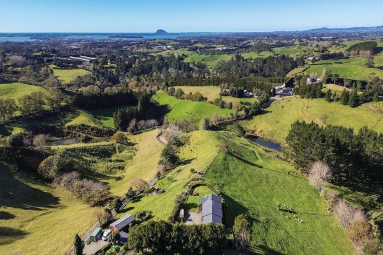 Photo of property in 325d Esdaile Road, Whakamarama, Tauranga, 3180
