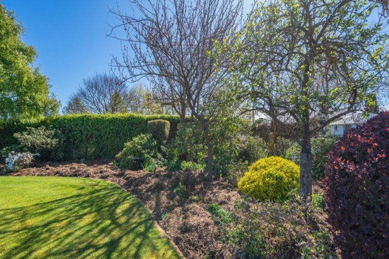 Photo of property in 39 Montrose Avenue, Culverden, 7392