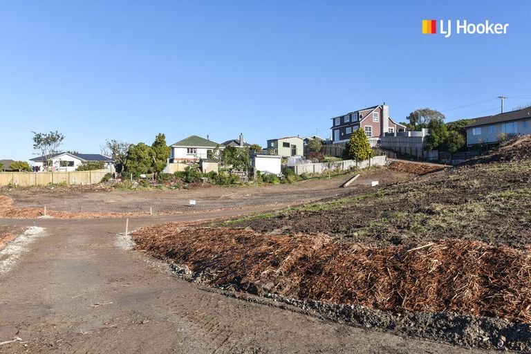 Photo of property in 155 Tomahawk Road, Andersons Bay, Dunedin, 9013
