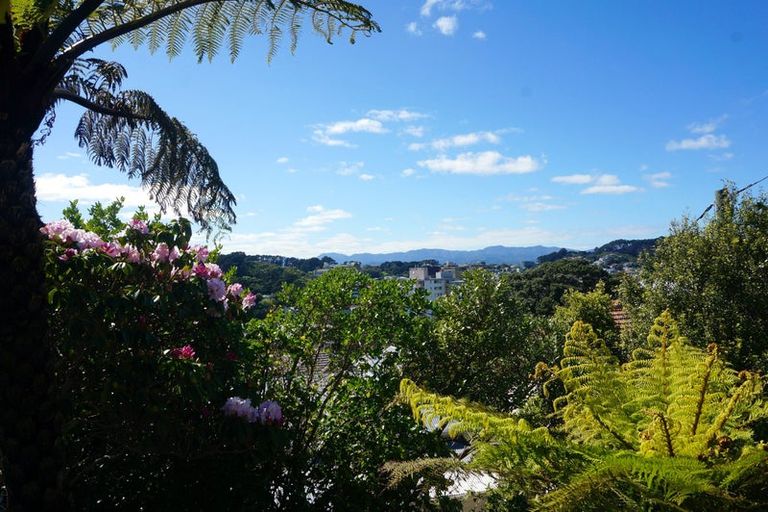 Photo of property in 76a Wright Street, Mount Cook, Wellington, 6021