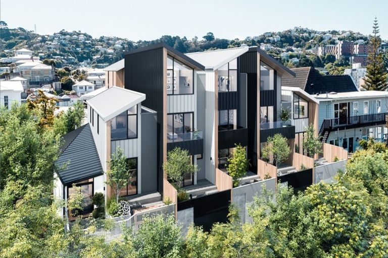 Photo of property in 25c Thompson Street, Mount Cook, Wellington, 6011