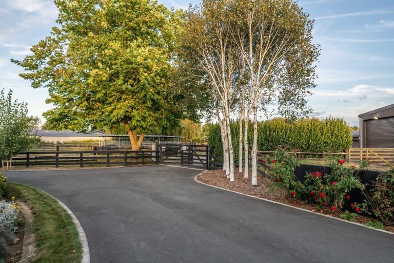 Photo of property in 81 Racecourse Road, Cambridge, 3493