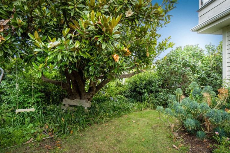 Photo of property in 53 Beckford Road, Saint Martins, Christchurch, 8022