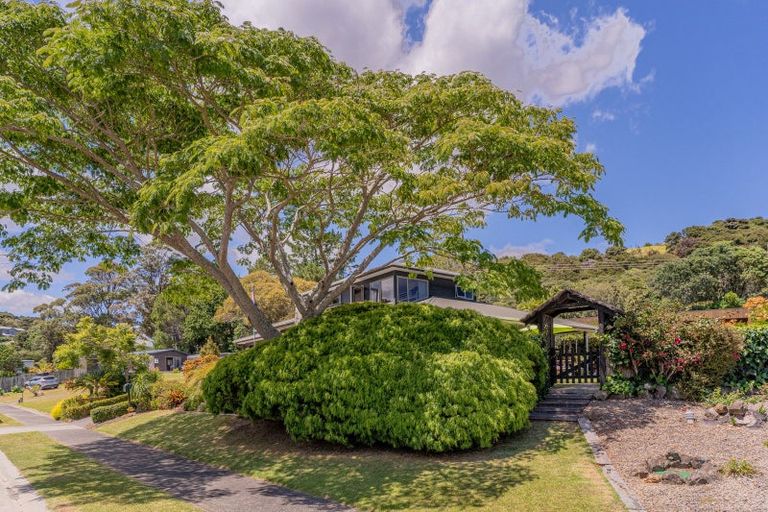 Photo of property in 142 Opera Place, Whangapoua, Coromandel, 3582