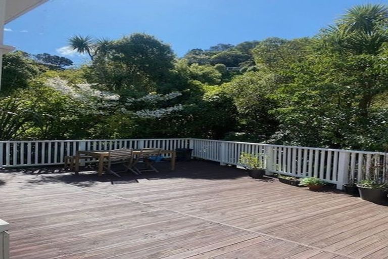Photo of property in 19 Crieff Street, Northland, Wellington, 6012