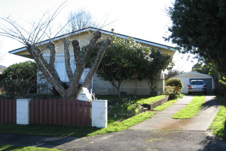 Photo of property in 15 Fernleigh Street, Chartwell, Hamilton, 3210