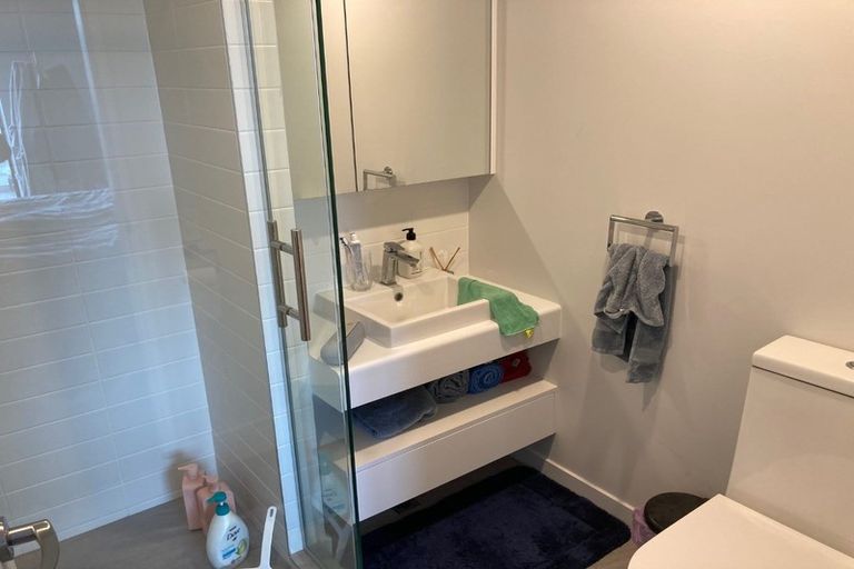 Photo of property in Pinnacle On Victoria, 160 Victoria Street, Te Aro, Wellington, 6011