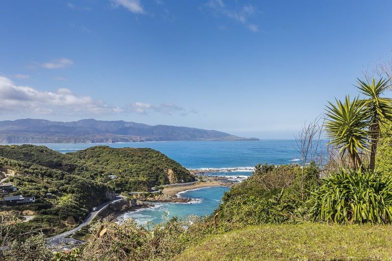 Photo of property in 187 Buckley Road, Southgate, Wellington, 6023