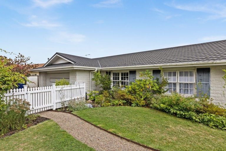 Photo of property in 3 Chestnut Court, Havelock North, 4130