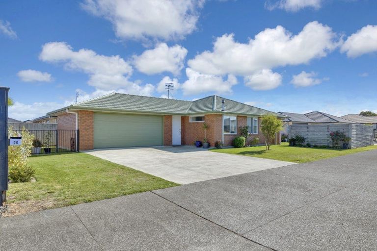 Photo of property in 20 Simon Street, Tawhero, Whanganui, 4501