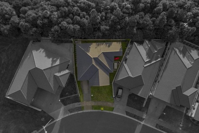 Photo of property in 93 Landing Drive, Pyes Pa, Tauranga, 3112